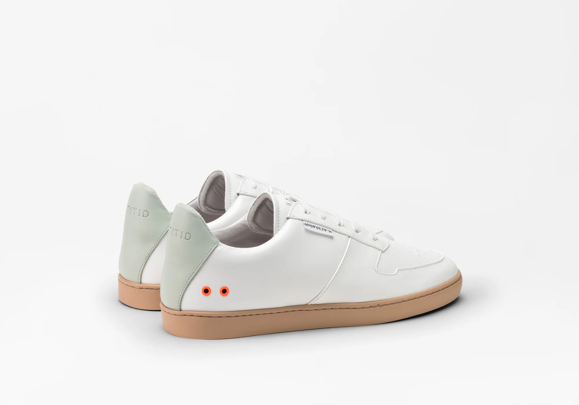 JAK · Latitid - Image 5