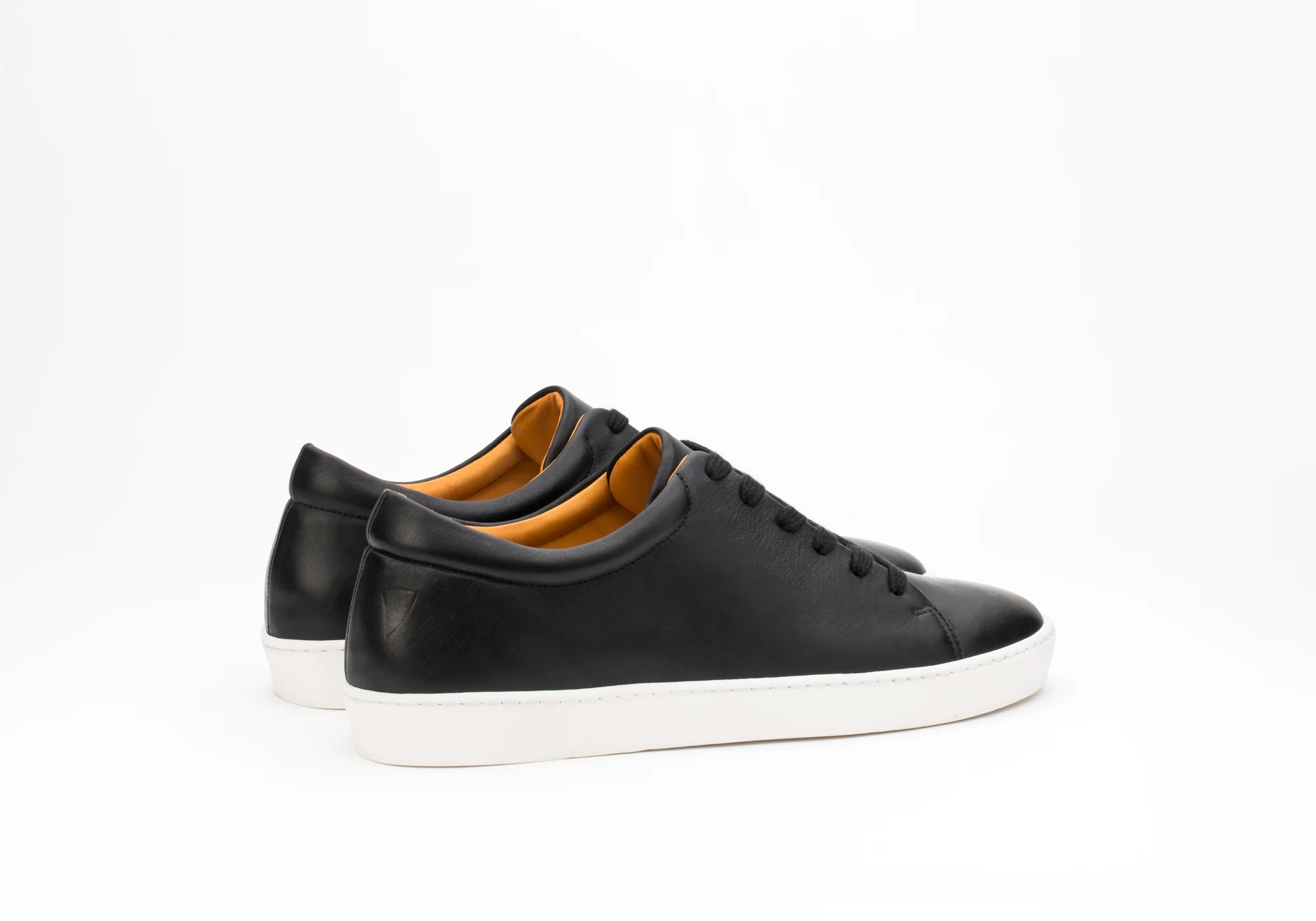 Royal Black V.L. - Image 6