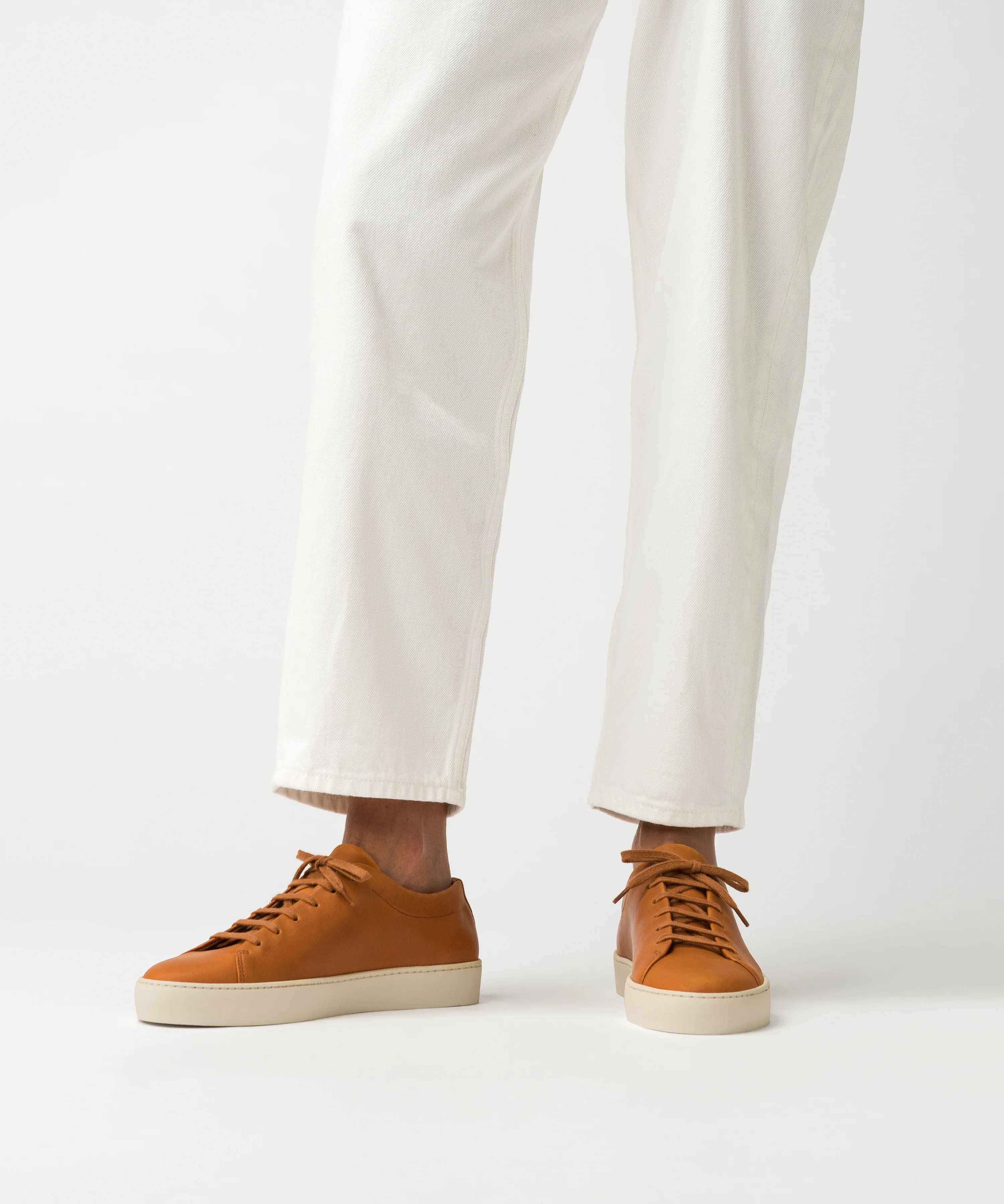 Royal Hazel - Image 7