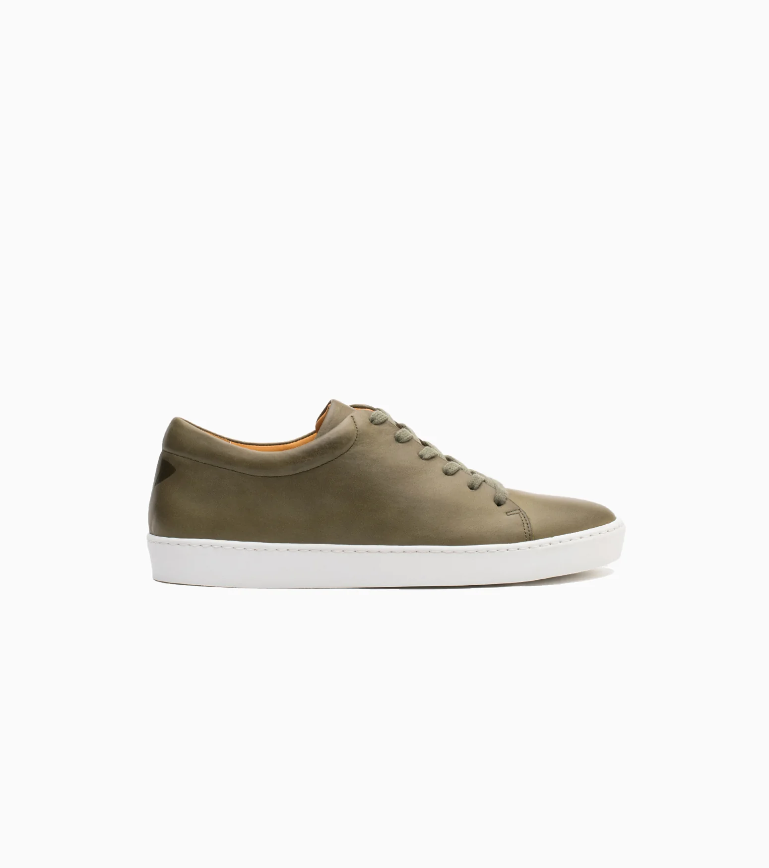 Royal Olive - Image 2